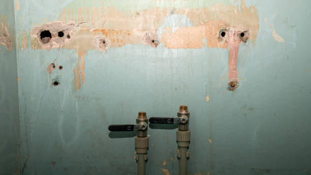 Best Sewage cleanup and water damage restoration  in Kapn, LA