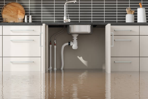 Best Professional water damage repair  in Kapn, LA