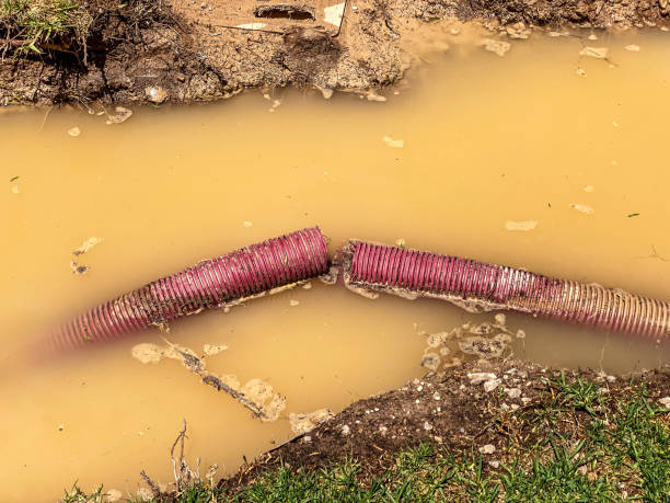 Best Local water damage restoration  in Kapn, LA